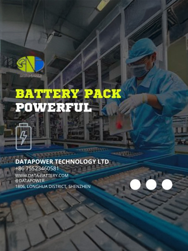 DataPower Battery Engineering Headed to More Green in 2024